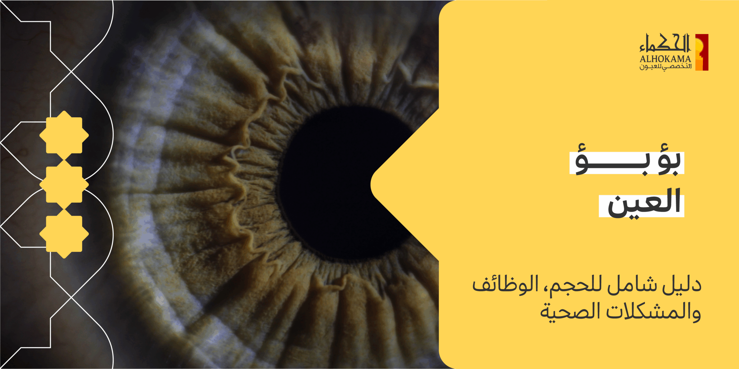 بؤبؤ العين