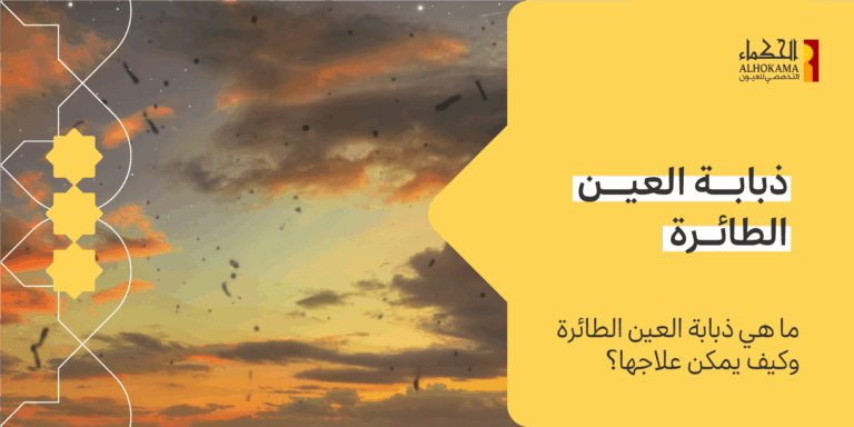 ذبابة العين